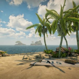 plage survival VR