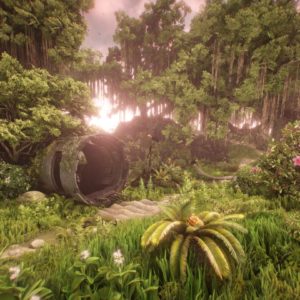 épave avion survival VR